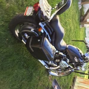 Meet your Posher, Paul